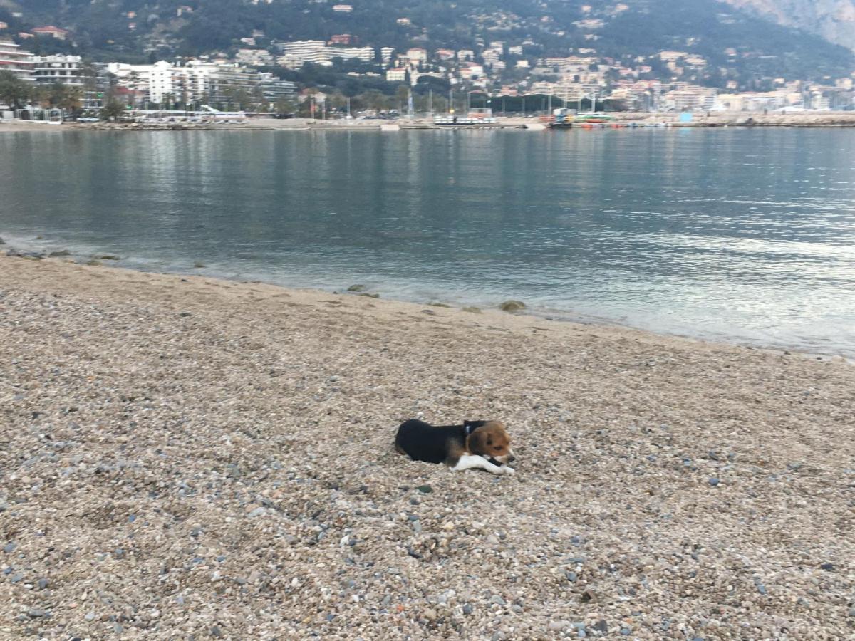 Appartement Maroelvi Menton Bagian luar foto